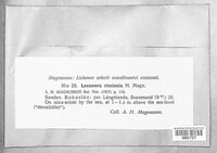 Image Associated With the Occurence